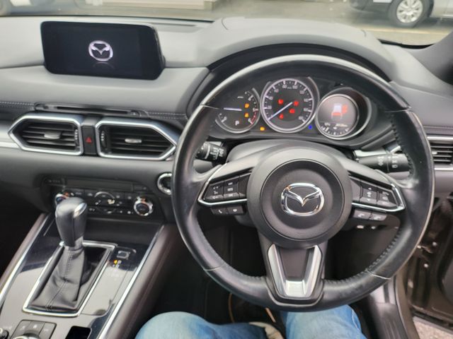 Mazda CX-8 2018-01 188694-4