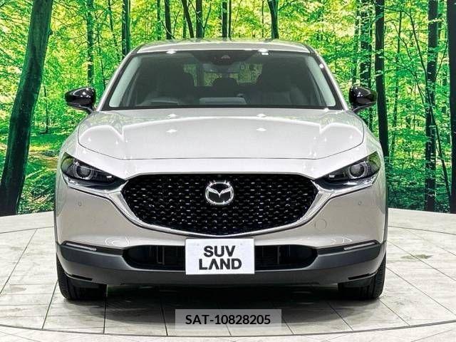 Mazda CX-30 2023-03 380948-14