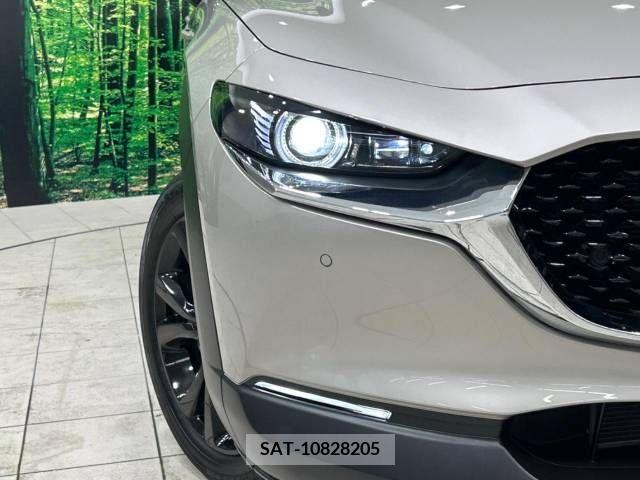 Mazda CX-30 2023-03 380948-12