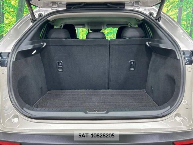 Mazda CX-30 2023-03 380948-11
