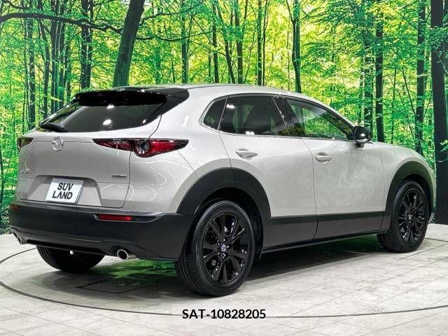 Mazda CX-30 2023-03 380948-17