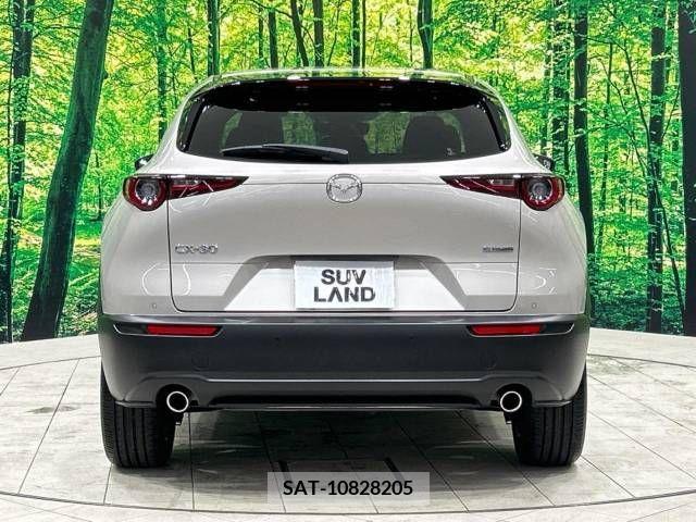 Mazda CX-30 2023-03 380948-15