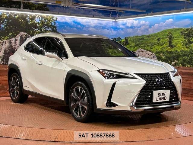 Lexus UX 2019-12 354108-16