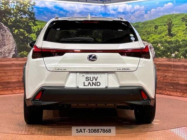 Lexus UX 2019-12 354108-15