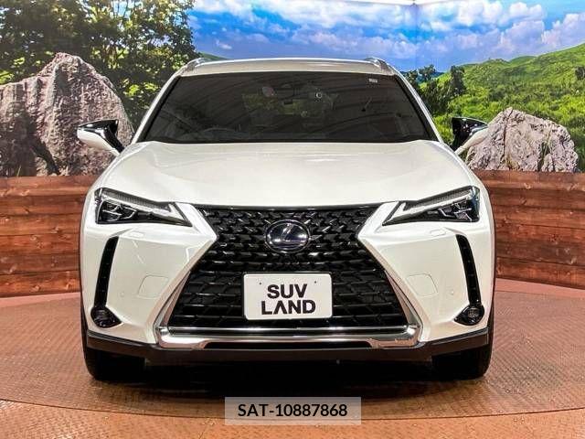 Lexus UX 2019-12 354108-14