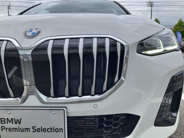 Bmw 2 SERIES 2022-09 21729-26