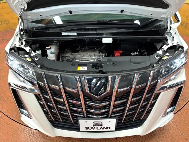 Toyota ALPHARD 2021-05 15554-18