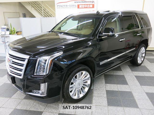 Cadillac ESCALADE 2015-06 223902-4