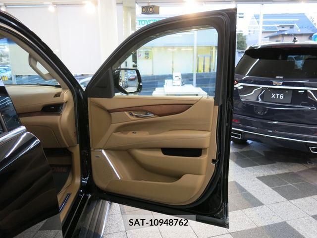 Cadillac ESCALADE 2015-06 223902-22