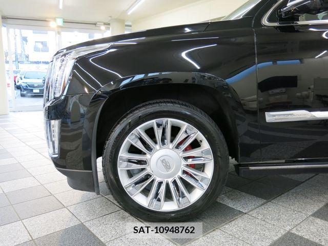 Cadillac ESCALADE 2015-06 223902-6