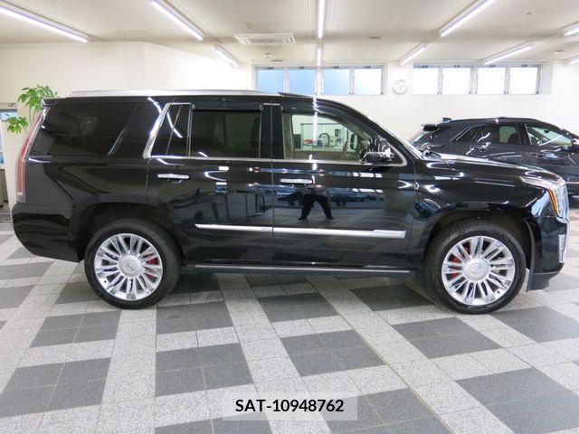 Cadillac ESCALADE 2015-06 223902-8