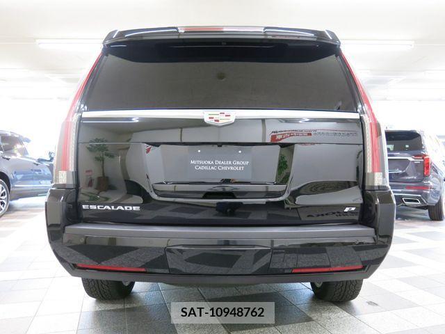 Cadillac ESCALADE 2015-06 223902-10