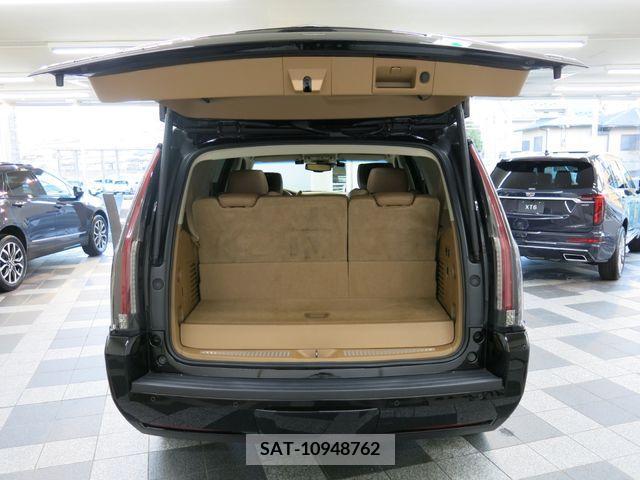 Cadillac ESCALADE 2015-06 223902-11