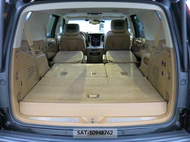 Cadillac ESCALADE 2015-06 223902-13