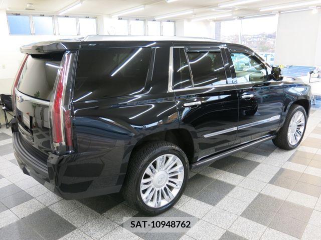 Cadillac ESCALADE 2015-06 223902-16