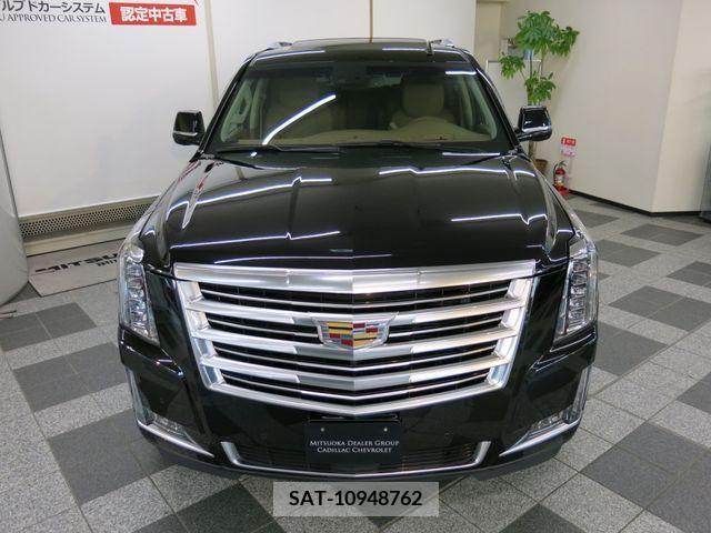 Cadillac ESCALADE 2015-06 223902-1