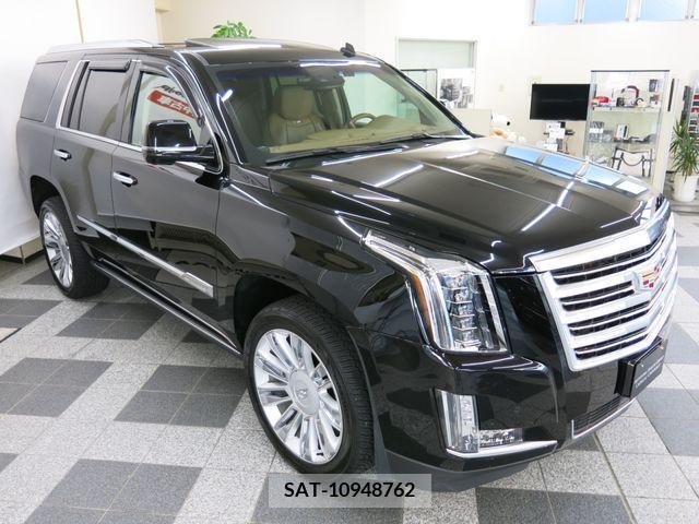 Cadillac ESCALADE 2015-06 223902-2