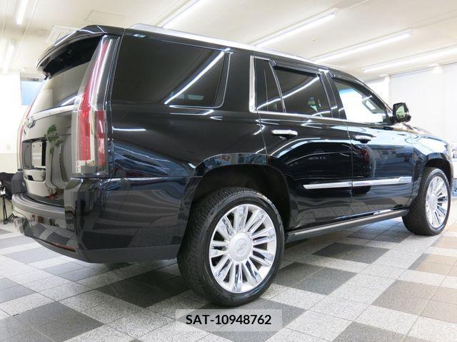 Cadillac ESCALADE 2015-06 223902-17