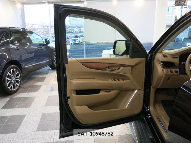 Cadillac ESCALADE 2015-06 223902-18