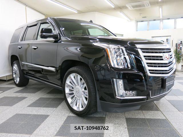 Cadillac ESCALADE 2015-06 223902-3