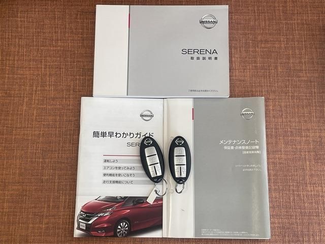 Nissan SERENA 2017-03 9763-19
