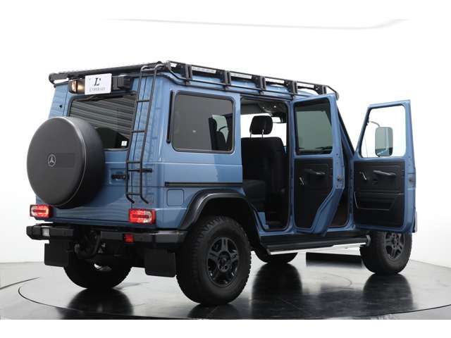 Mercedes Benz G-CLASS 2017-12 195389-12
