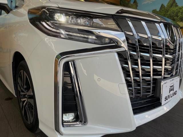 Toyota ALPHARD 2022-11 13702-13