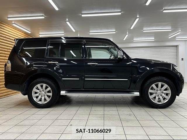 Mitsubishi PAJERO 2010-10 213273-17