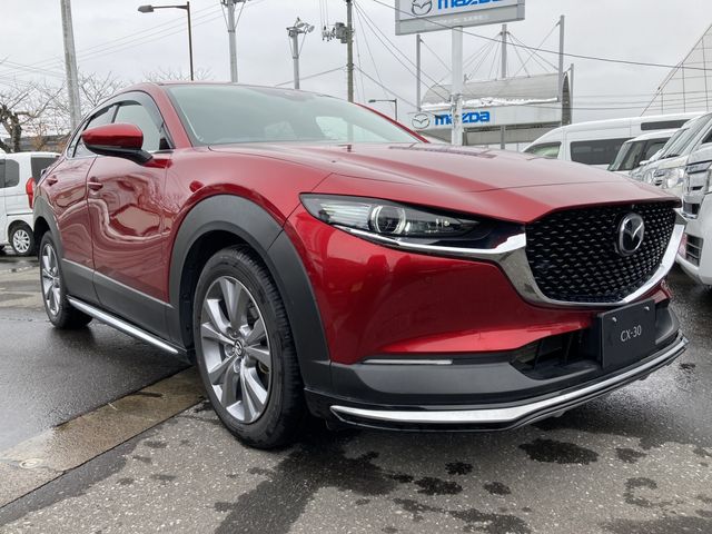 Mazda CX-30 2020-03 183933-2