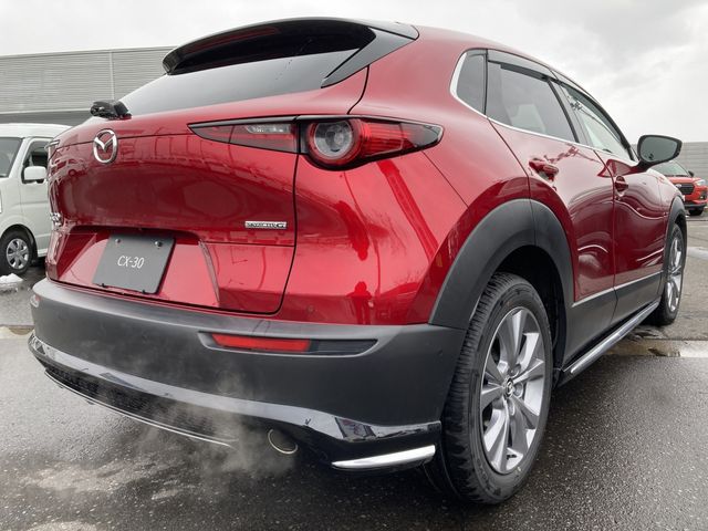 Mazda CX-30 2020-03 183933-4