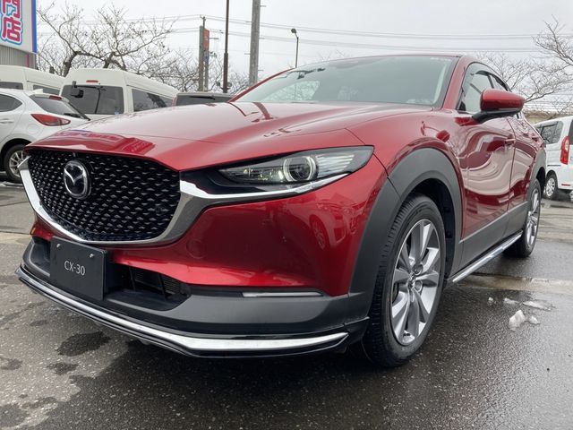 Mazda CX-30 2020-03 183933-0