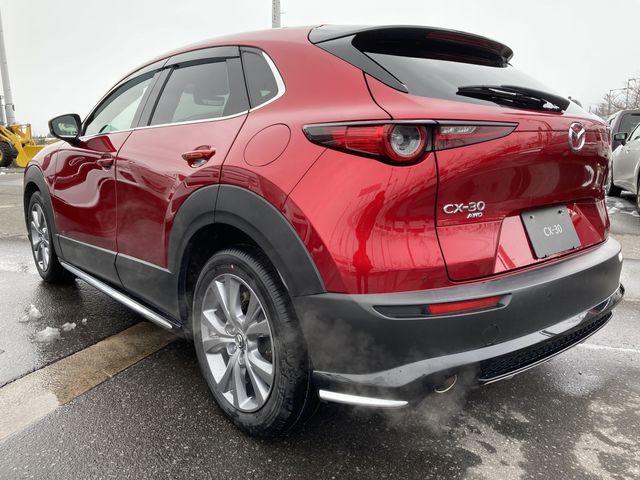 Mazda CX-30 2020-03 183933-6