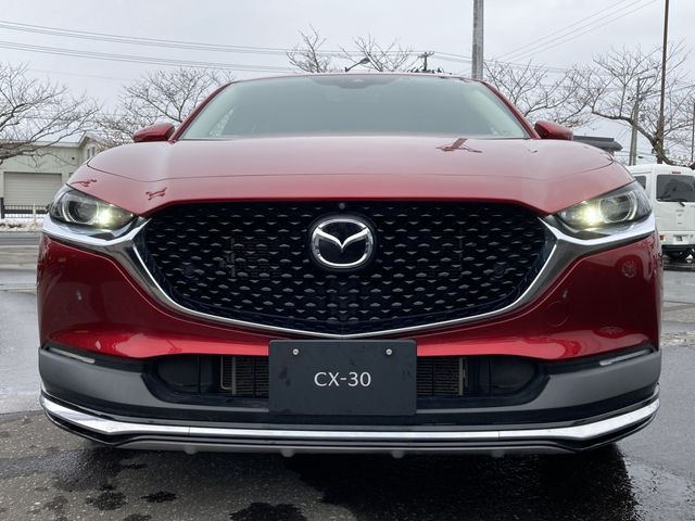 Mazda CX-30 2020-03 183933-1