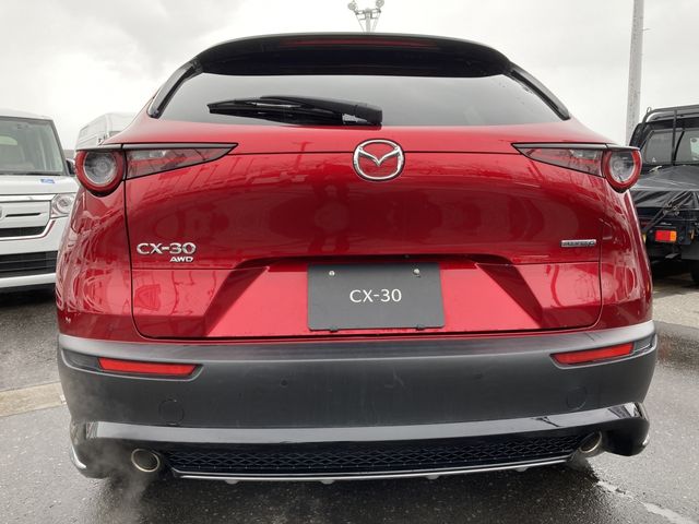 Mazda CX-30 2020-03 183933-5