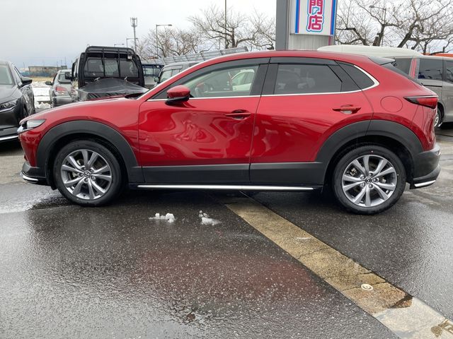 Mazda CX-30 2020-03 183933-7