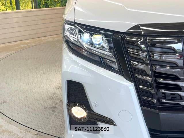 Toyota ALPHARD 2017-06 259074-13