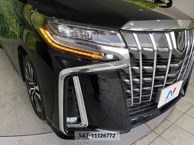 Toyota ALPHARD 2019-05 259172-9