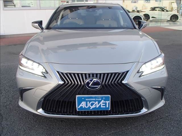 Lexus ES 2019-03 195061-7
