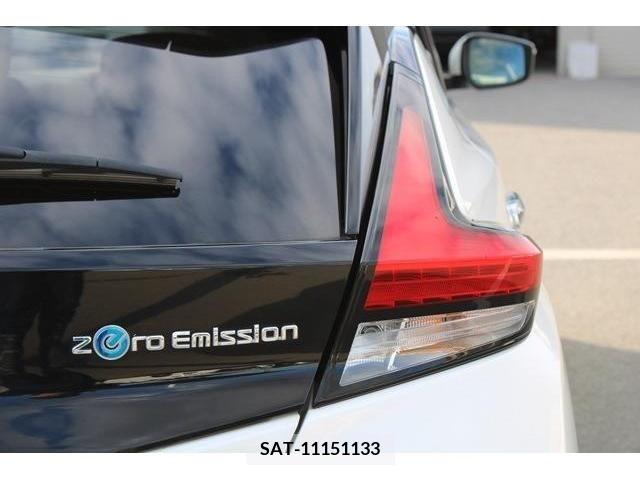 Nissan LEAF 2019-01 212232-10
