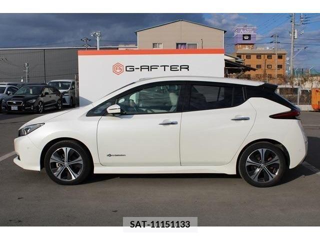 Nissan LEAF 2019-01 212232-8