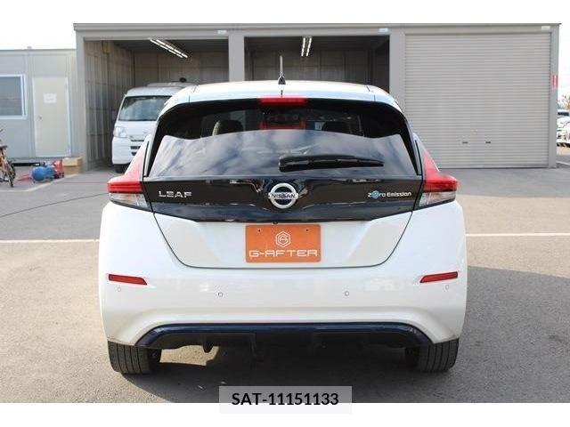 Nissan LEAF 2019-01 212232-7