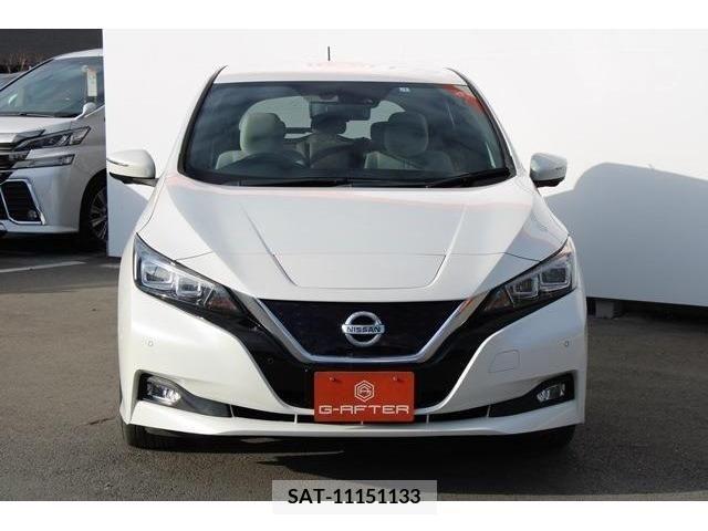 Nissan LEAF 2019-01 212232-5