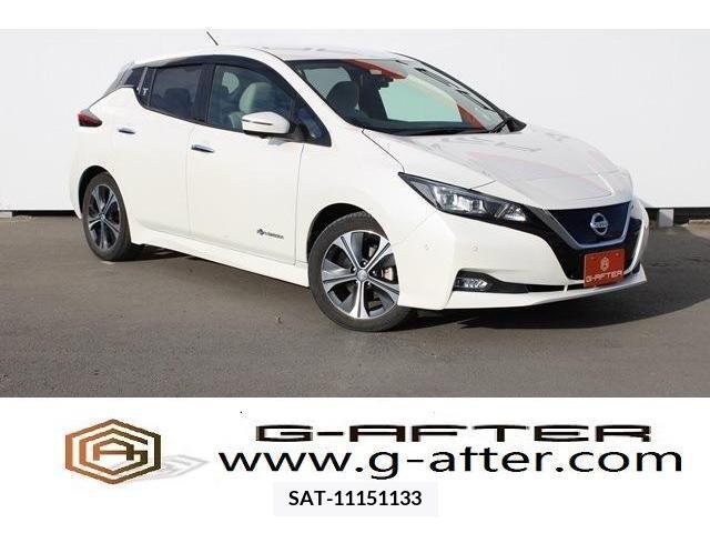 Nissan LEAF 2019-01 212232-0