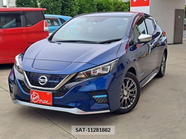 Nissan LEAF 2019-10 324795-0