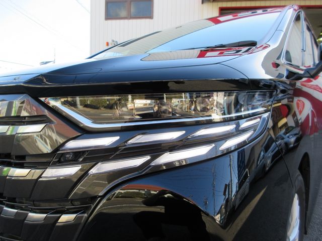 Toyota ALPHARD 2023-08 191624-18