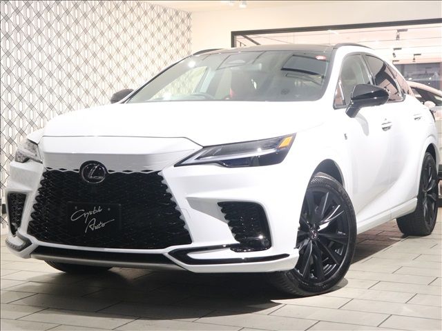 Lexus RX 2023-07 196310-0