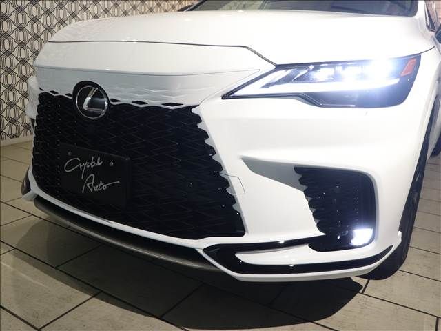 Lexus RX 2023-07 196310-13
