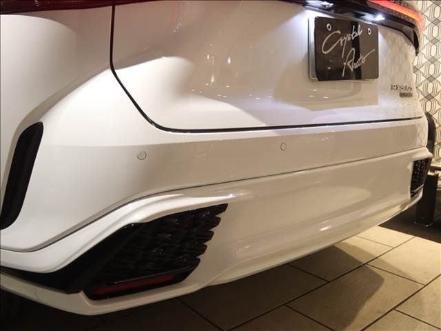 Lexus RX 2023-07 196310-18