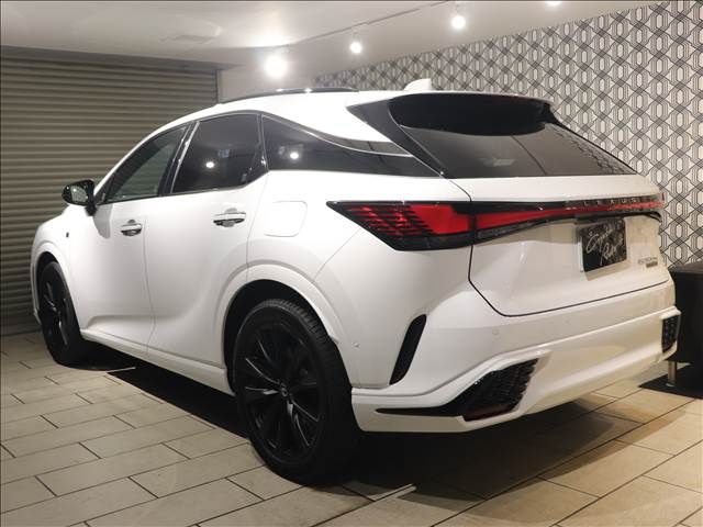 Lexus RX 2023-07 196310-1