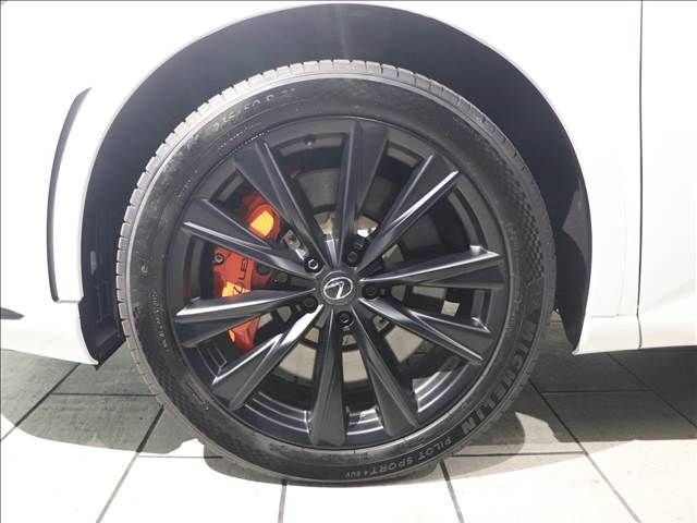 Lexus RX 2023-07 196310-14